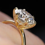 Ava with Diamond