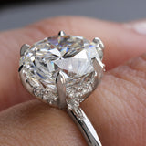 Ava with Diamond