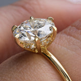 Ava with Diamond