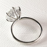 Ava with Diamond