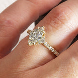 Stella with Marquise