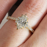 Stella with Marquise