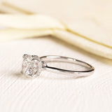 Mollie with Round Cut in White Gold