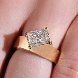 The Sunset with Radiant