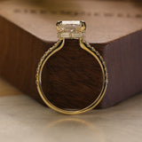The Céline with Radiant Cut